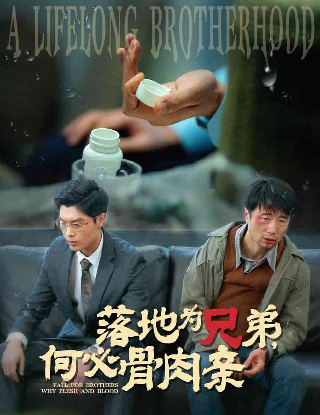 落地為兄弟，何必骨肉親(全集)