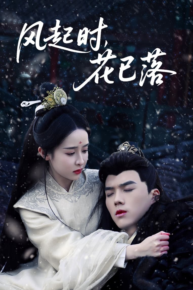 風(fēng)起時(shí)，花已落(全集)
