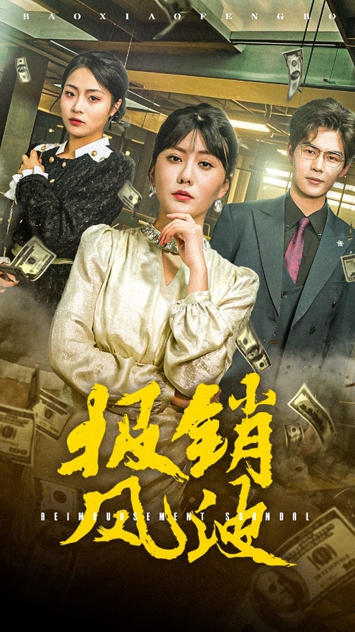 報銷風(fēng)波(全集)