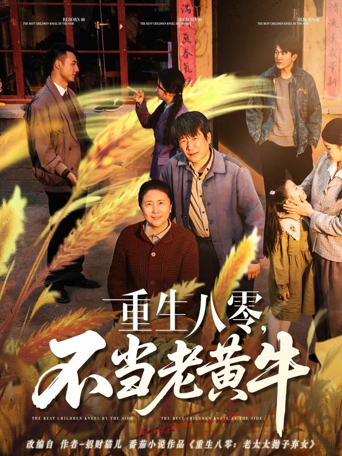 重生八零，不當老黃牛(全集)