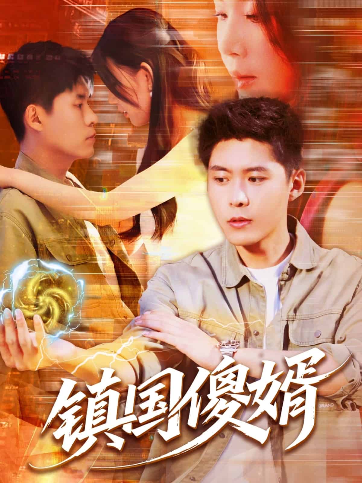 鎮(zhèn)國(guó)傻婿(全集)