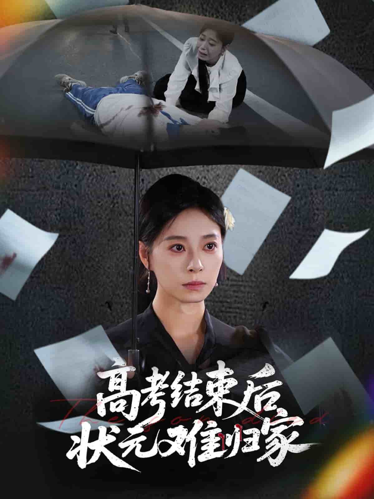 高考結(jié)束后狀元難歸家(全集)