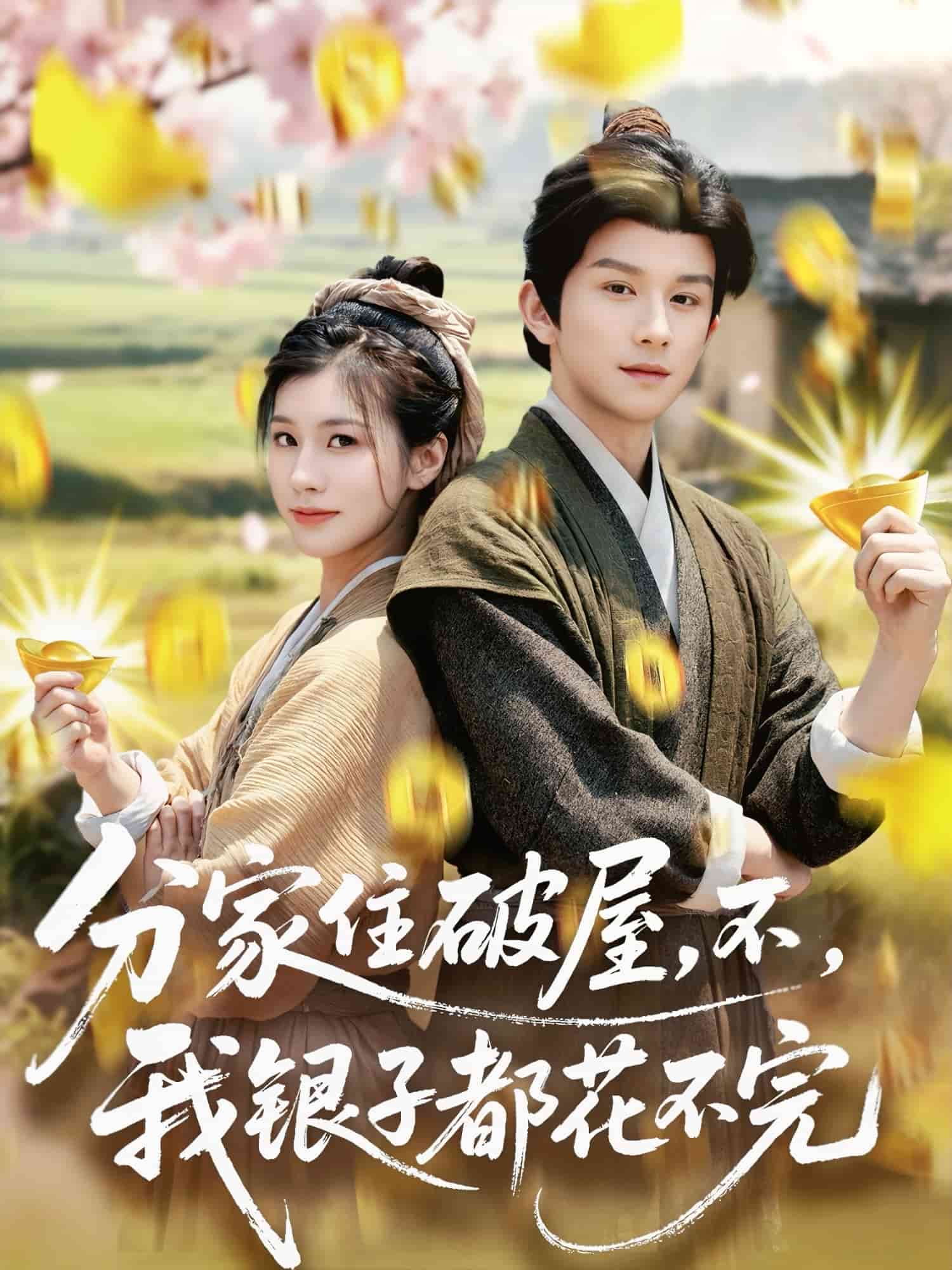 分家住破屋，不，我銀子都花不完(全集)