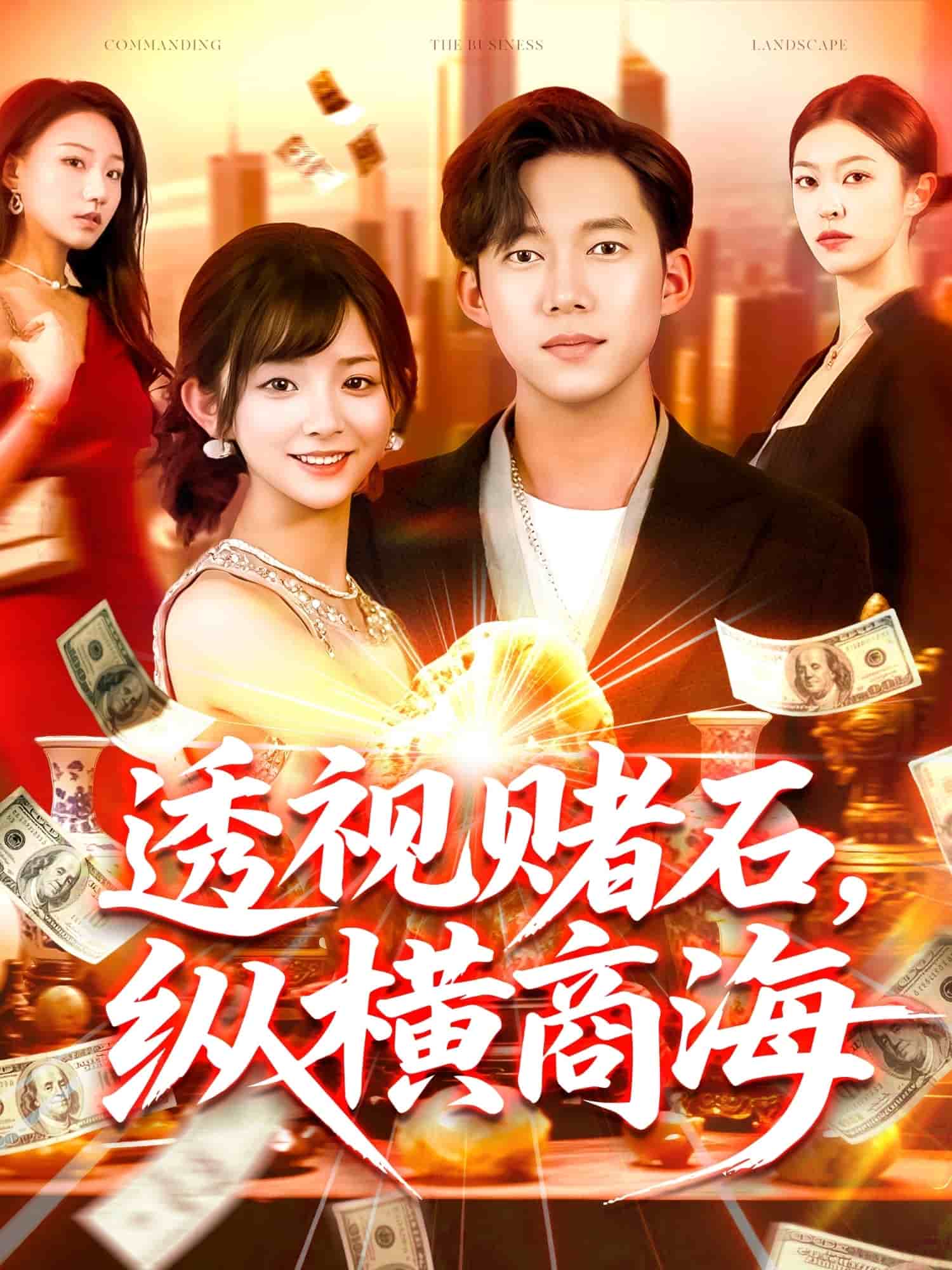 透視賭石，縱橫商海(全集)