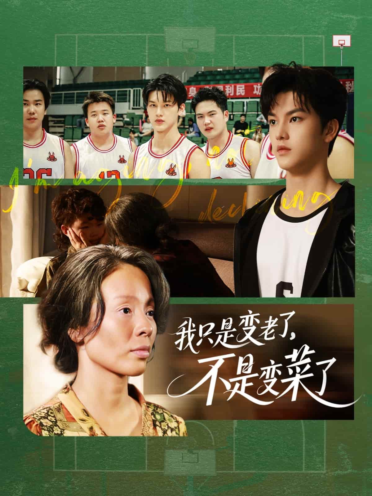 我只是變老了，不是變菜了(全集)