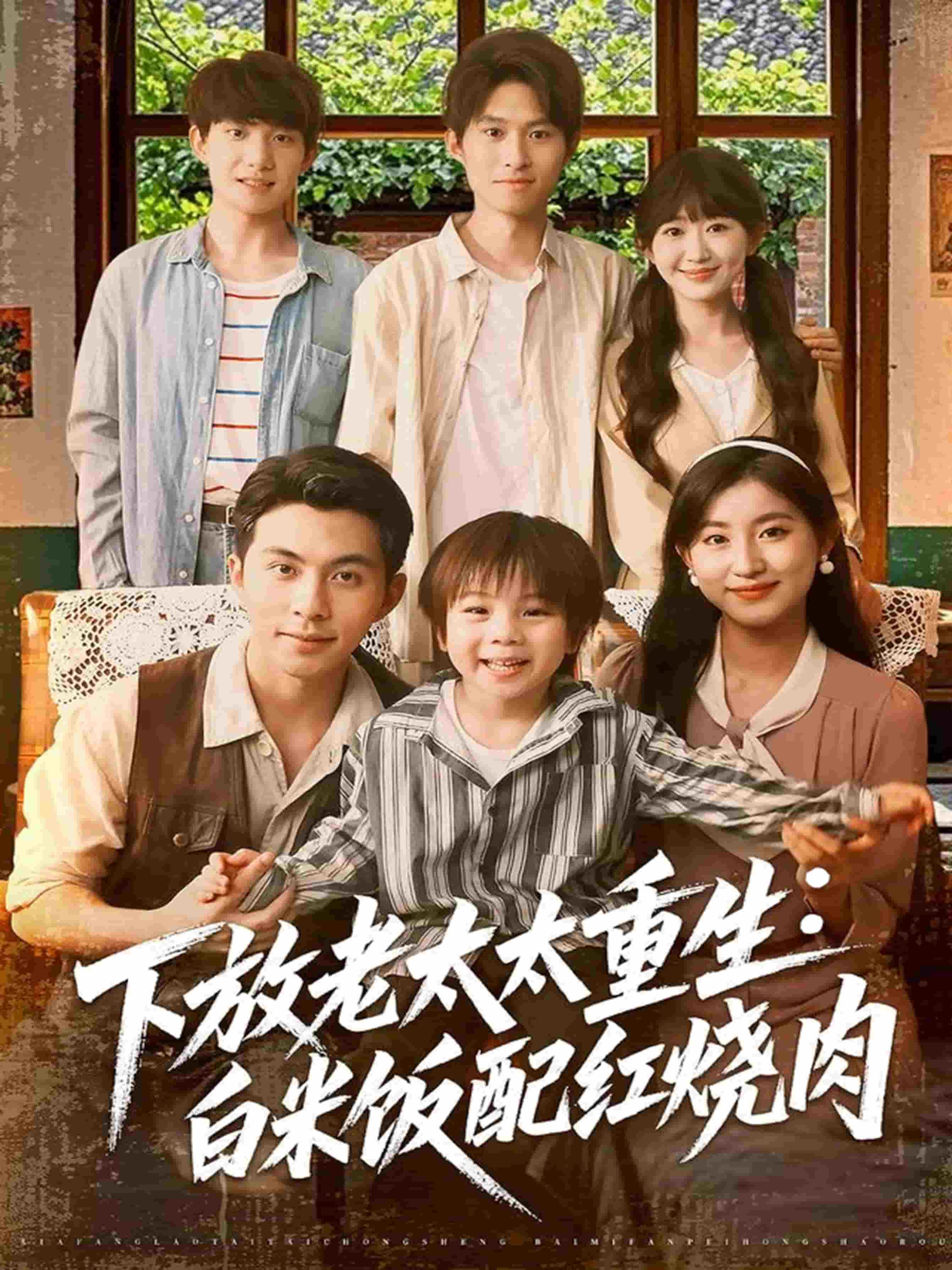 下放老太太重生白米飯配紅燒肉(全集)