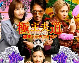 極主夫道 爆笑！砸場(chǎng)子SP
