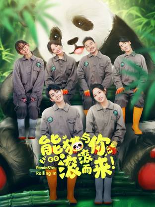 熊貓與你，滾滾而來！(全集)